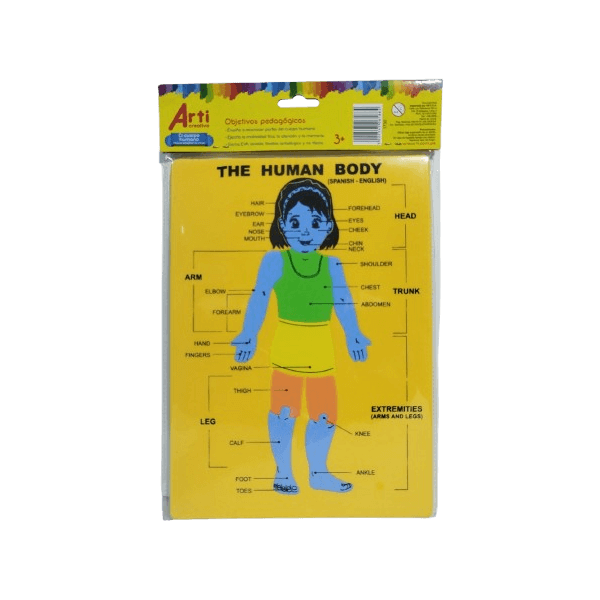 Material Educativo de Encaje El Cuerpo Humano Arti Creativo (Diseño Niño o Niña)