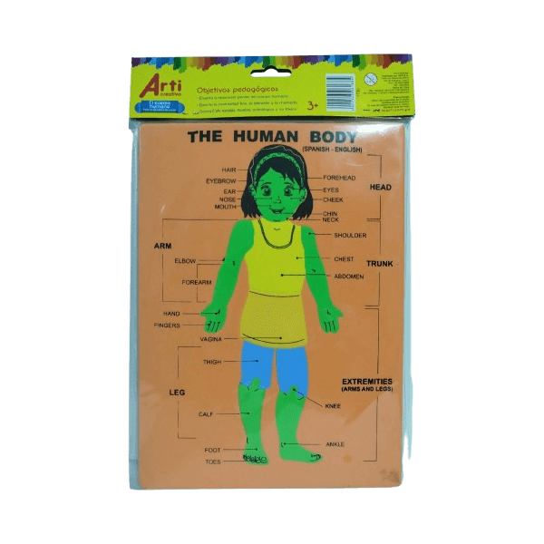 Material Educativo de Encaje El Cuerpo Humano Arti Creativo (Diseño Niño o Niña)