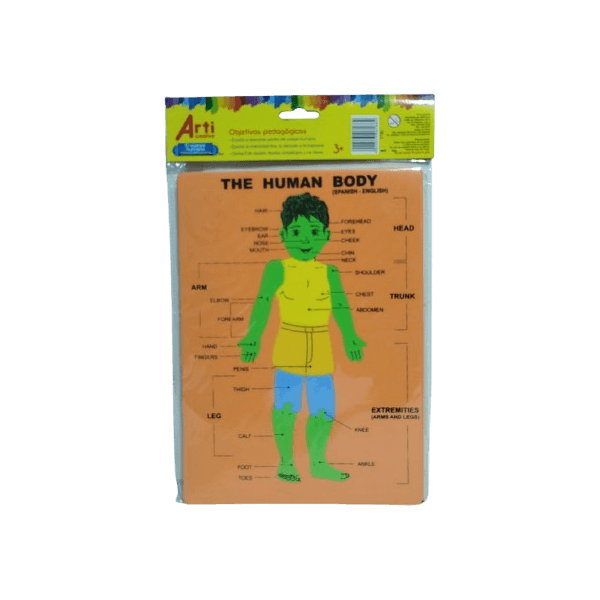 Material Educativo de Encaje El Cuerpo Humano Arti Creativo (Diseño Niño o Niña)