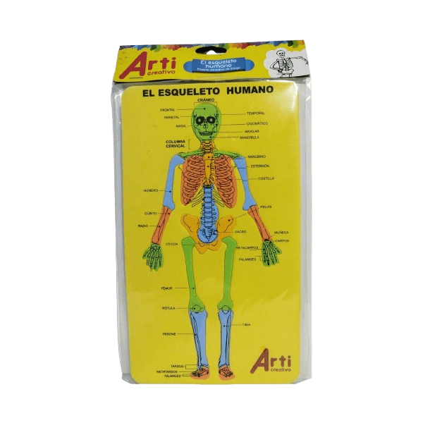 Material Educativo de Encaje El Esqueleto Humano Arti Creativo en Goma EVA