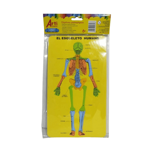 Material Educativo de Encaje El Esqueleto Humano Arti Creativo en Goma EVA
